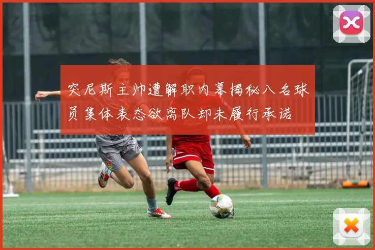 突尼斯主帅遭解职内幕揭秘八名球员集体表态欲离队却未履行承诺