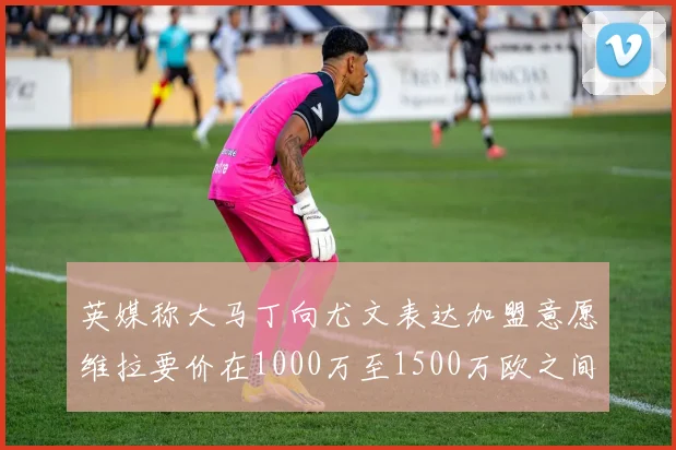 英媒称大马丁向尤文表达加盟意愿维拉要价在1000万至1500万欧之间